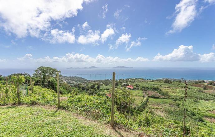 L'Ilot Fruits Guadeloupe Villa ทรัวส์-รีวิแยร์ ภายนอก รูปภาพ